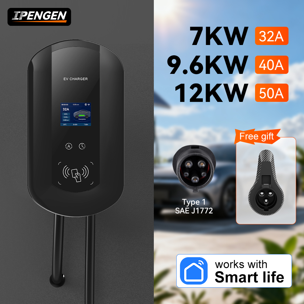 Estación de Carga para Vehícul - Wallbox Ev reseña y precio